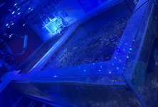 IMG_5663.jpeg IMG_5663.jpeg