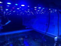 IMG_5662.jpeg IMG_5662.jpeg