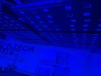 IMG_5661.jpeg IMG_5661.jpeg