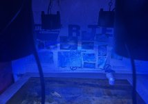 IMG_5664.jpeg IMG_5664.jpeg