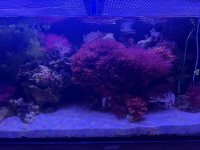 IMG_9765.jpeg