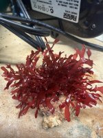IMG_9756.jpeg