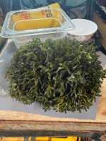 IMG_9757.jpeg