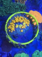 IMG_5809.jpeg