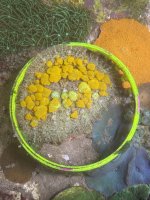 IMG_5806.jpeg
