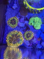 IMG_5808.jpeg