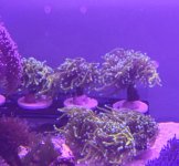 20260831_170754.jpg 20260831_170754.jpg