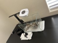IMG_2579.jpeg