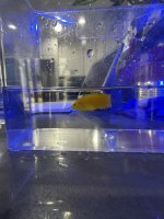 IMG_4738.jpeg IMG_4738.jpeg