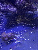 IMG_8887.jpeg
