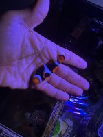 AquaCam_557F4752.jpeg
