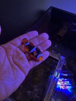 AquaCam_1E358BB4.jpeg