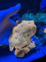 IMG_1329.jpeg