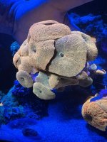 IMG_1328.jpeg