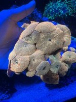 IMG_1327.jpeg