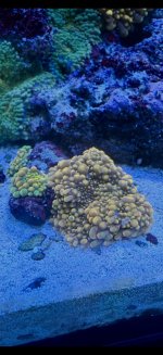 IMG_9809.jpeg