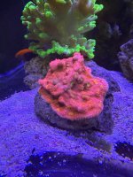 IMG_1219.jpeg