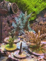IMG_3262.jpeg