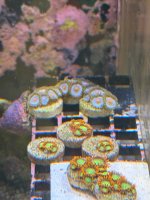 IMG_3261.jpeg IMG_3261.jpeg