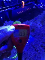 IMG_8531.jpeg
