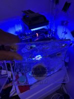IMG_8524.jpeg