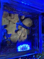 IMG_3217.jpeg