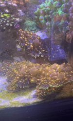 IMG_6177.jpeg