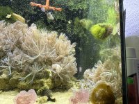 IMG_8544.jpeg