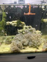 IMG_8542.jpeg