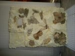 DSC05084.jpg