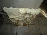 DSC05087.jpg