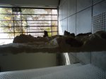 DSC05088.jpg