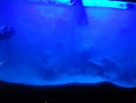 DSC05104.jpg