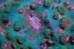 fishtank055.jpg