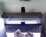 IMG00171.jpg