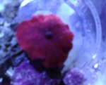 IMG00186.jpg