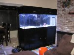 IMG_2956.jpg