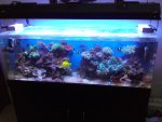 CAM00198.jpg