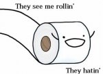 toilet-paper-they-see-me-rollin_large.jpg