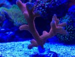 IMG_3422.jpg