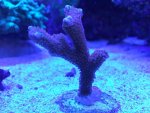 IMG_3382.jpg
