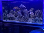 IMG_7040.jpg