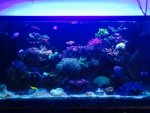 photo (1).jpg