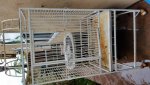 bird cage 5.jpg