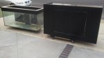 Fish Tank 4 Sale.jpg