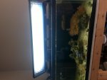 light fixture 2.jpg