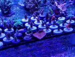 20171012_122314.jpg 20171012_122314.jpg