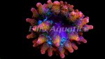 Fireball Anemone..jpg