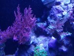 20200111_165935.jpg