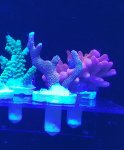 20200618_193530.jpg